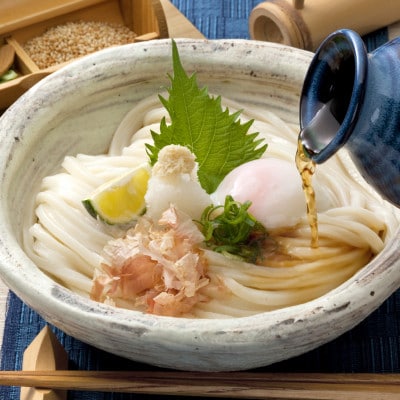 藤麺「包丁切りさぬき半生うどん」N-20
