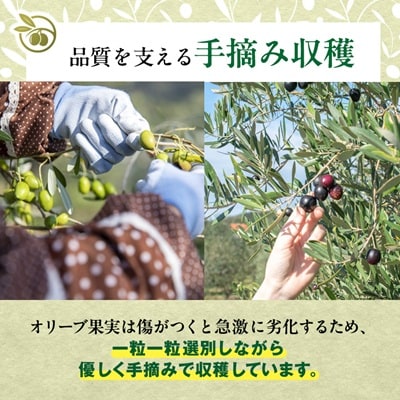 小豆島産100%　エキストラバージンオリーブオイル[手摘み]