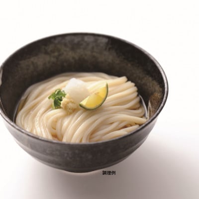 【石丸製麺】半生さぬきうどん(夏期限定)(RDK-30)
