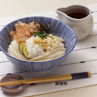 【石丸製麺】半生さぬきうどん(夏期限定)(RDK-30)