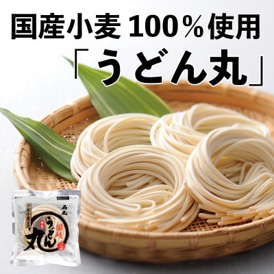 【石丸製麺】半生讃岐うどん「うどん丸」(UG-5)