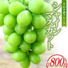 さぬき讃フルーツ「シャインマスカット」約800g 【8～9月より順次発送】