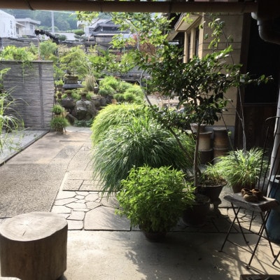 津山桧　盆景　〈黒鉢〉