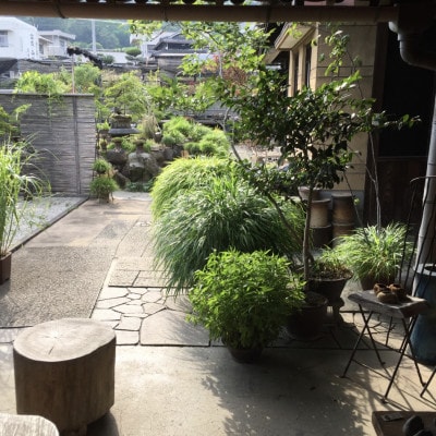 津山桧　盆景　〈赤鉢〉