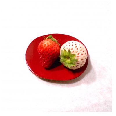 【黒松】いろどり　豆皿揃え