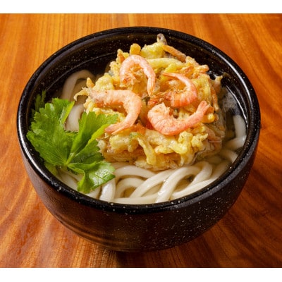 【山田家】冷凍讃岐うどん4種詰合せ　ざるぶっかけ・カレー・きつね・かきあげR5/5人前(香川県)