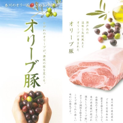 【ふるさと納税】オリーブ豚 もも 切り落とし 計1kg(500g×2)讃岐 国産