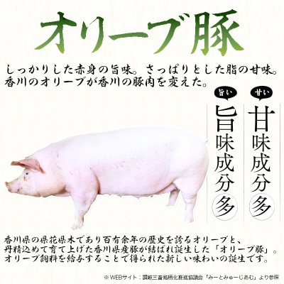 【ふるさと納税】オリーブ豚 もも 切り落とし 計1kg(500g×2)讃岐 国産