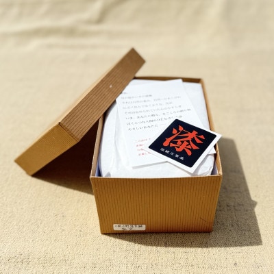 【香川漆器】二段小判弁当箱　魚文