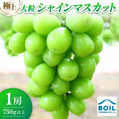 極上　大粒シャインマスカット　750g以上