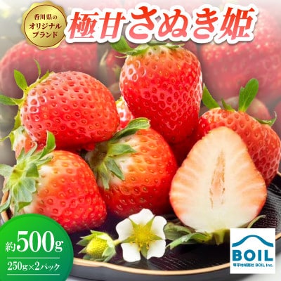 極甘さぬき姫　約500g(250g×2パック)