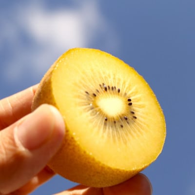 キウイ　鮮やか黄金に輝くゴールドキウイ(さぬきゴールド)　900g(5～6玉)