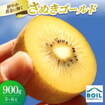 キウイ　鮮やか黄金に輝くゴールドキウイ(さぬきゴールド)　900g(5～6玉)