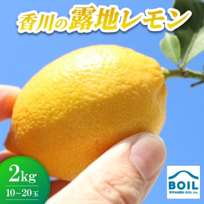 露地レモン　約2kg(10～20玉)