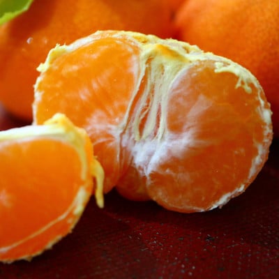 小原紅早生みかん　約2kg(20～30玉)