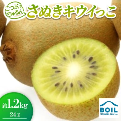 こつぶでちゅるん　さぬきキウイっこ　約1.2kg(24玉)