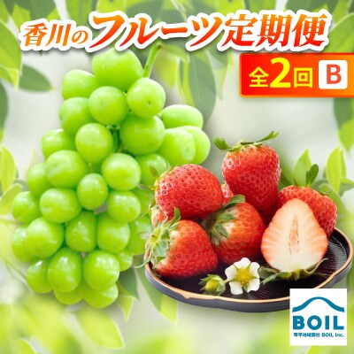 【発送月固定定期便】香川のフルーツ(2B)全2回