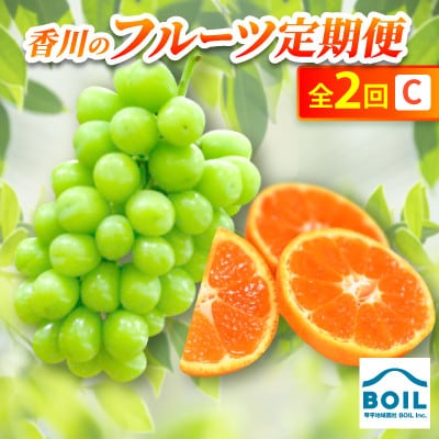 【発送月固定定期便】香川のフルーツ(2C)全2回