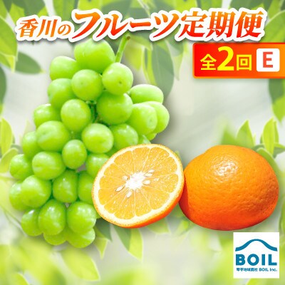【発送月固定定期便】香川のフルーツ(2E)全2回