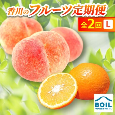 【発送月固定定期便】香川のフルーツ(2L)全2回