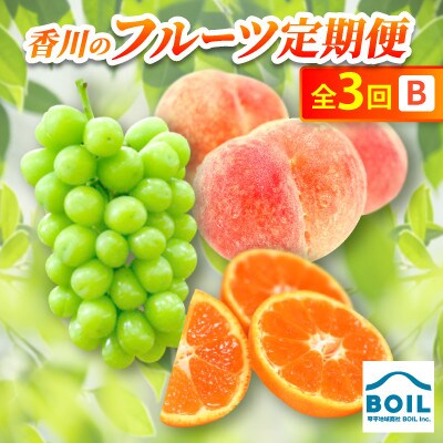 【発送月固定定期便】香川のフルーツ(3B)全3回