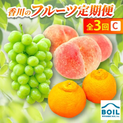 【発送月固定定期便】香川のフルーツ(3C)全3回