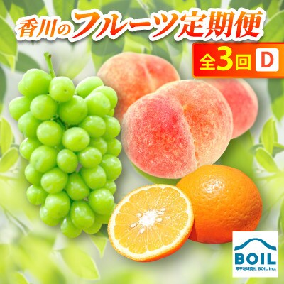 【発送月固定定期便】香川のフルーツ(3D)全3回