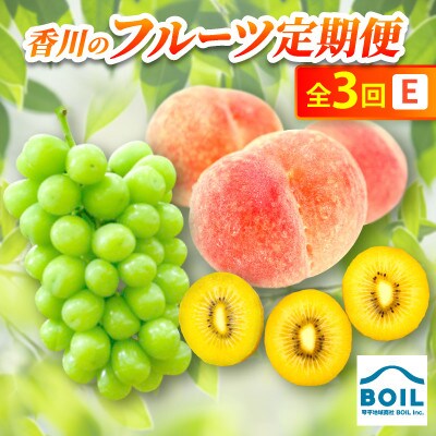 【発送月固定定期便】香川のフルーツ(3E)全3回