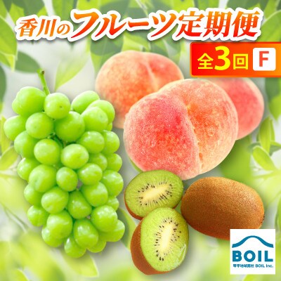 【発送月固定定期便】香川のフルーツ(3F)全3回