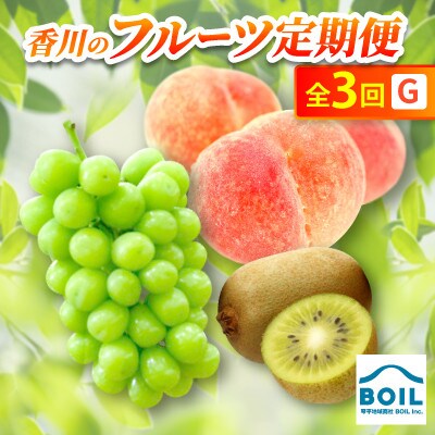 【発送月固定定期便】香川のフルーツ(3G)全3回
