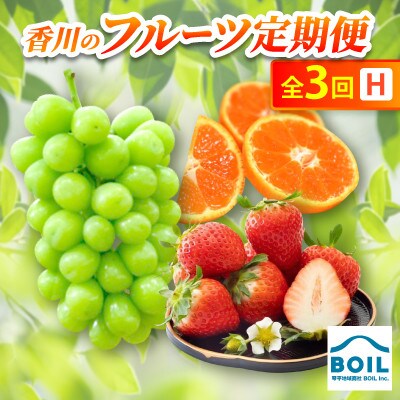 【発送月固定定期便】香川のフルーツ(3H)全3回