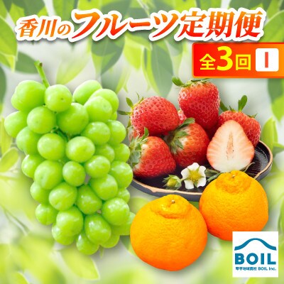 【発送月固定定期便】香川のフルーツ(3I)全3回