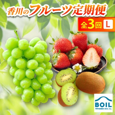 【発送月固定定期便】香川のフルーツ(3L)全3回