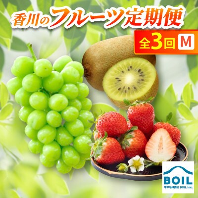【発送月固定定期便】香川のフルーツ(3M)全3回