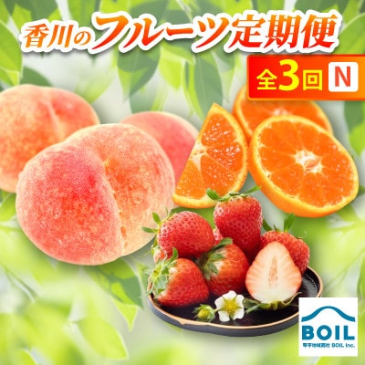 【発送月固定定期便】香川のフルーツ(3N)全3回