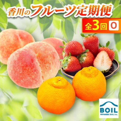 【発送月固定定期便】香川のフルーツ(3O)全3回