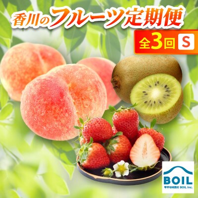 【発送月固定定期便】香川のフルーツ(3S)全3回