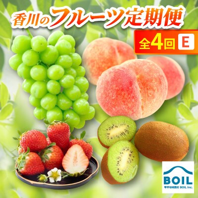 【発送月固定定期便】香川のフルーツ(4E)全4回