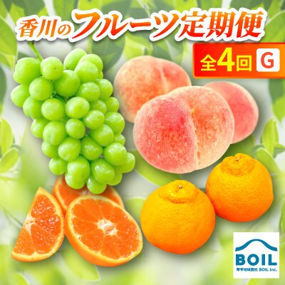 【発送月固定定期便】香川のフルーツ(4G)全4回