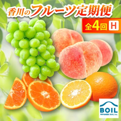 【発送月固定定期便】香川のフルーツ(4H)全4回