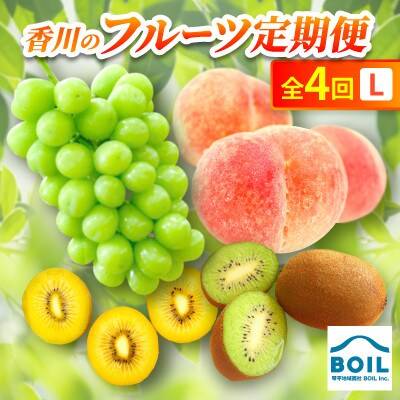 【発送月固定定期便】香川のフルーツ(4L)全4回