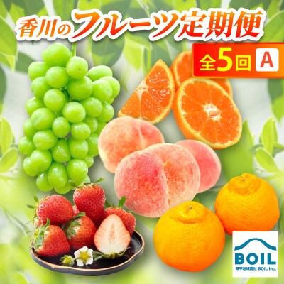【発送月固定定期便】香川のフルーツ(5A)全5回