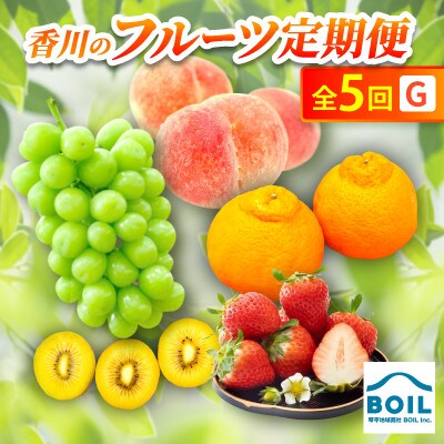 【発送月固定定期便】香川のフルーツ(5G)全5回