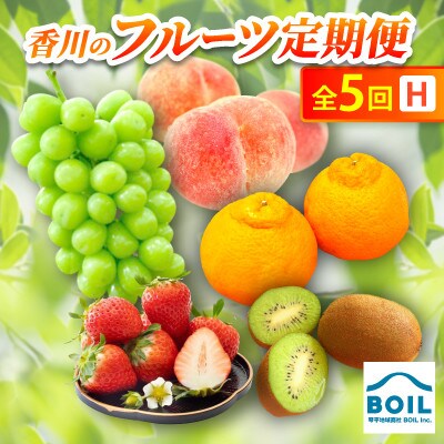 【発送月固定定期便】香川のフルーツ(5H)全5回