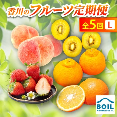 【発送月固定定期便】香川のフルーツ(5L)全5回