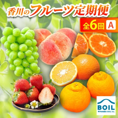 【発送月固定定期便】香川のフルーツ(6A)全6回