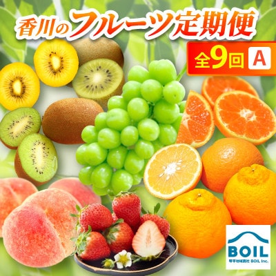 【発送月固定定期便】香川のフルーツ(9A)全9回