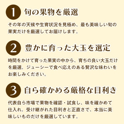 【甘酸バランス抜群】香川産特選大粒いちごで春の味覚を満喫　いちご(10粒～15粒)1箱