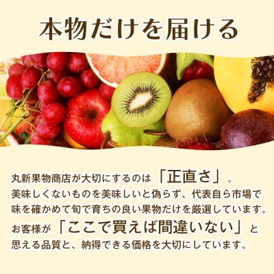 【甘酸バランス抜群】香川産特選大粒いちごで春の味覚を満喫　いちご(10粒～15粒)3箱
