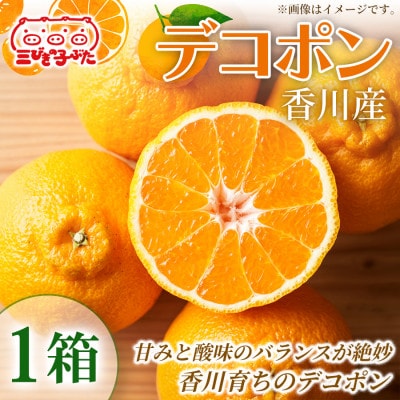 【ジューシーで甘い】香川県産デコポンを旬の味覚として楽しむ　デコポン　1箱